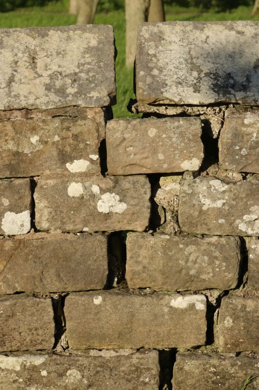 Stone Wall Repair in Conyers, GA